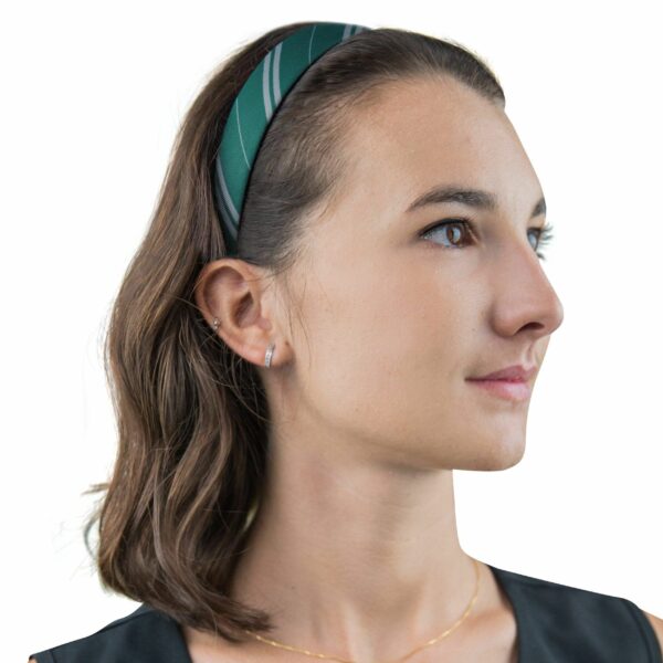 PACK ACCESSOIRES POUR CHEVEUX SERPENTARD